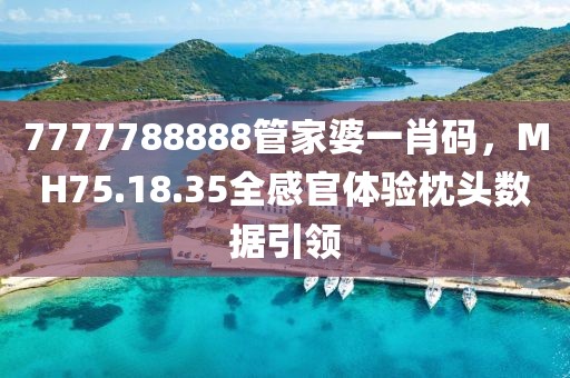 7777788888管家婆一肖码，MH75.18.35全感官体验枕头数据引领