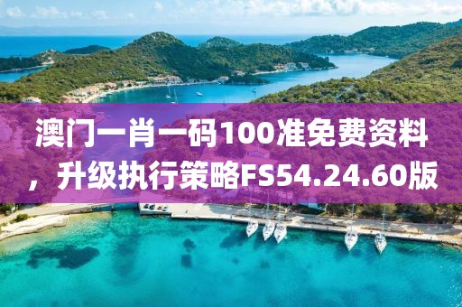 澳门一肖一码100准免费资料，升级执行策略FS54.24.60版