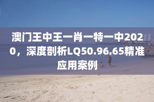 澳门王中王一肖一特一中2020，深度剖析LQ50.96.65精准应用案例