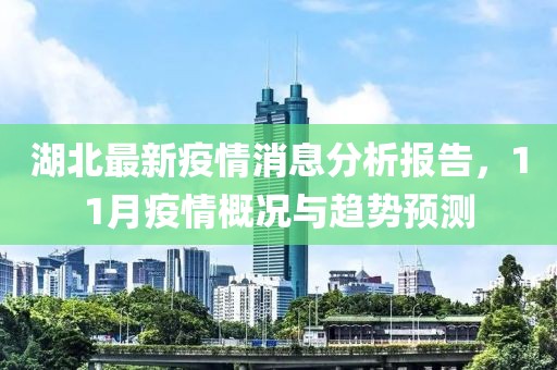 湖北最新疫情消息分析报告，11月疫情概况与趋势预测