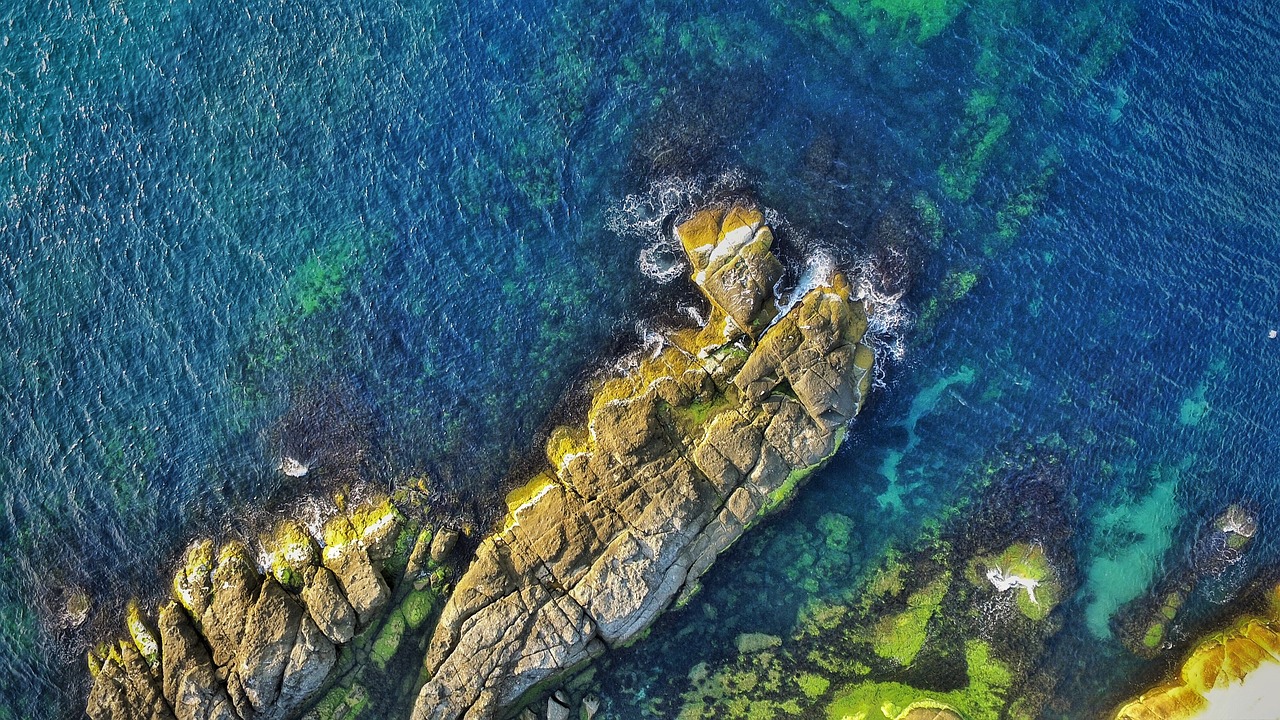 阳谷蓝海湾最新房价动态及趋势分析