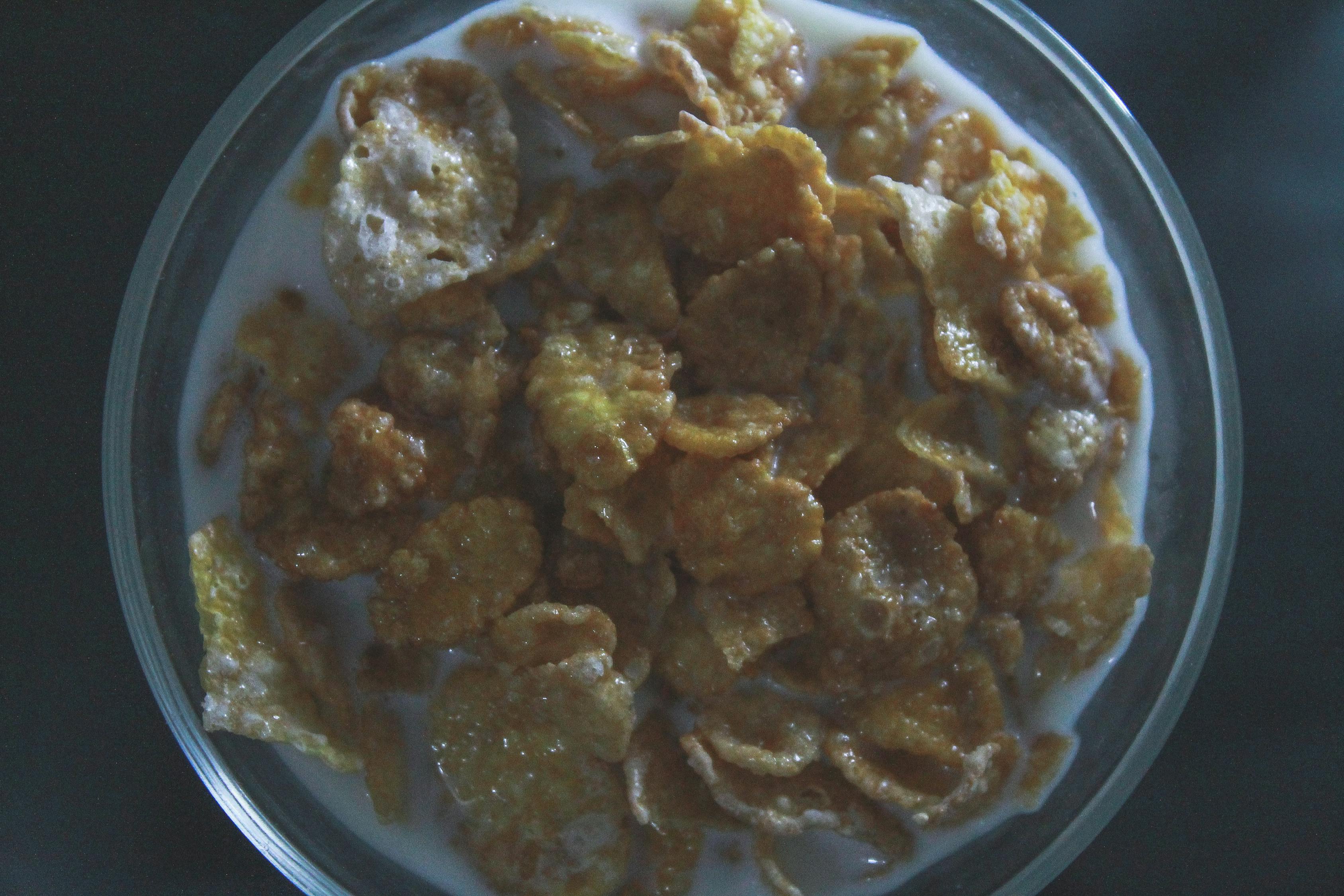 最新简单美食制作技巧，家常菜肴轻松上手