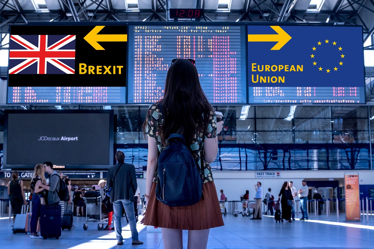 英园疫情最新报告，最新动态与情况分析