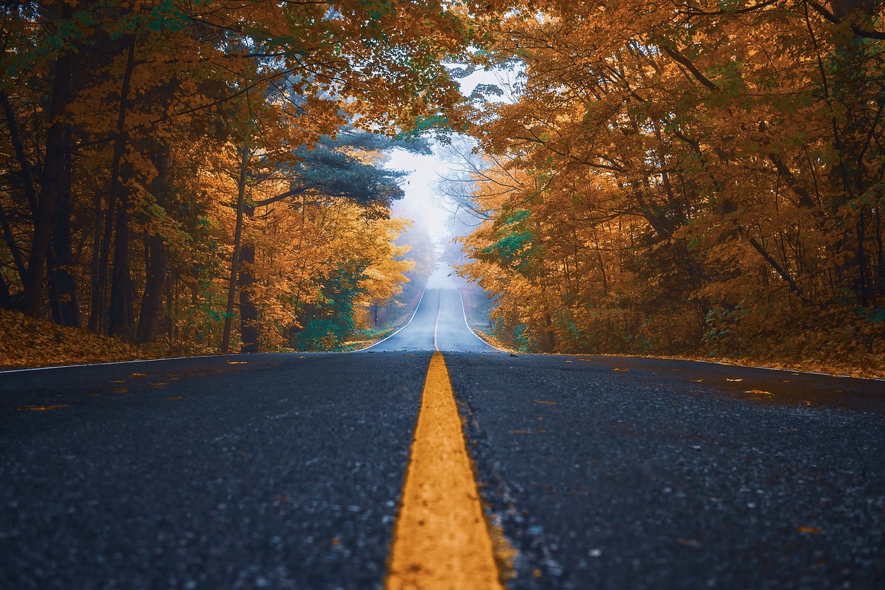 天然乳胶最新动态，探索未来趋势与发展前景