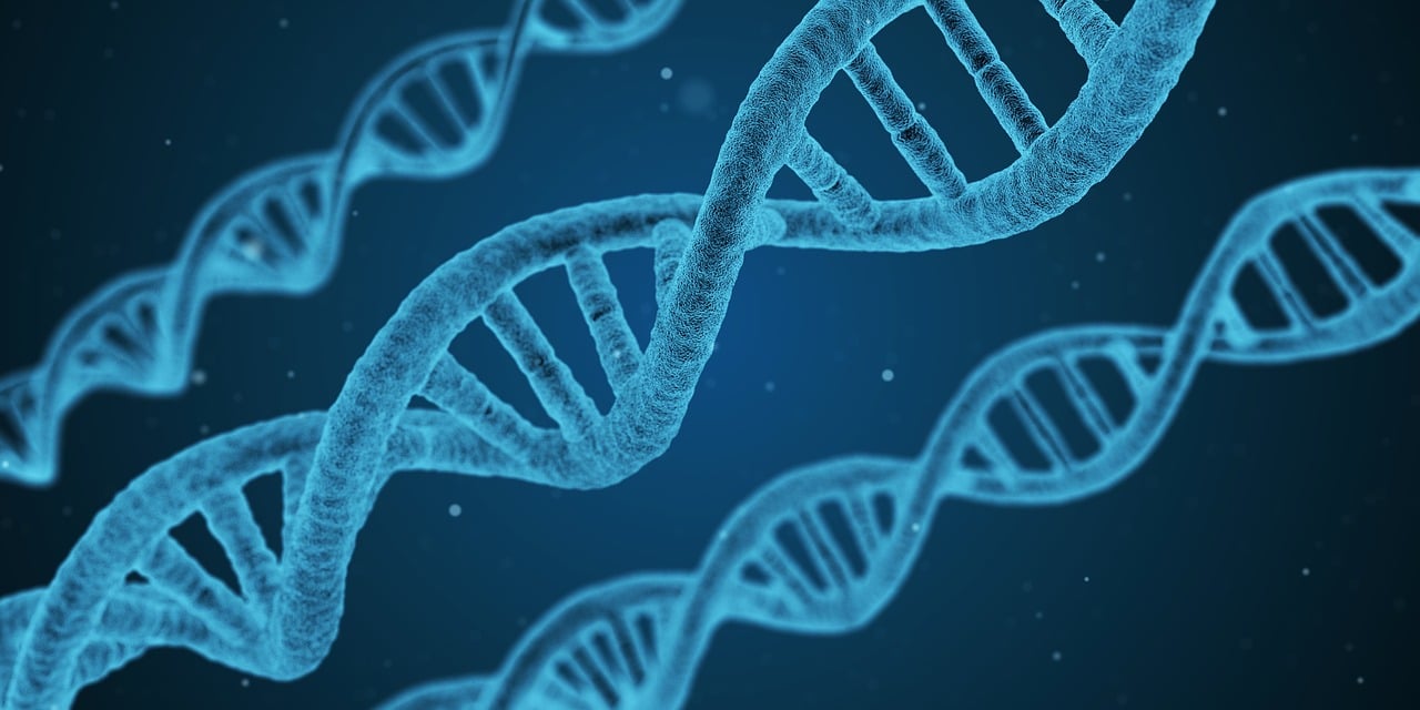 医药疫苗最新动向，创新技术筑牢未来健康防线