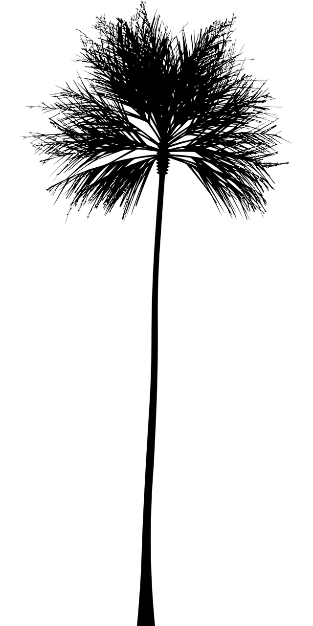 趣树引领数字生态新篇章的最新动态