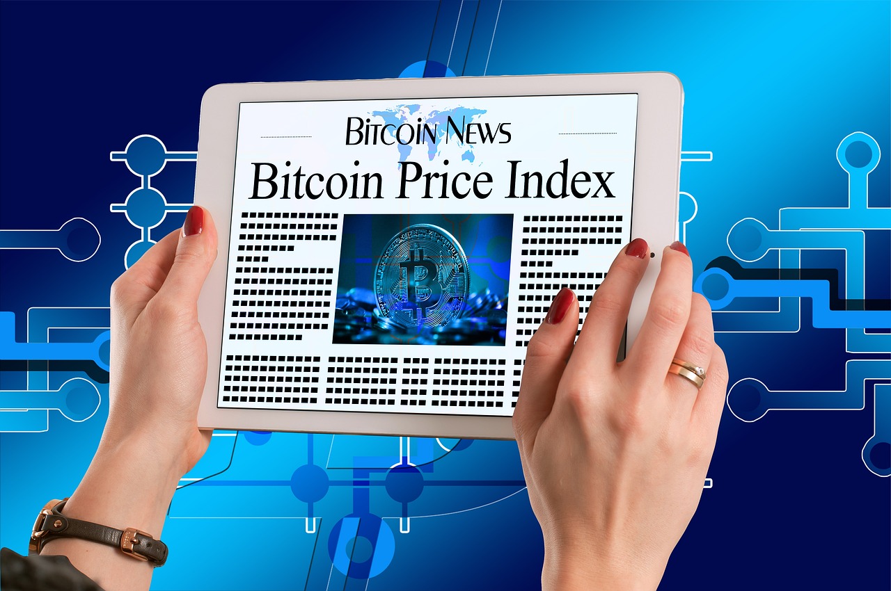 番金连最新版深度解析与应用展望