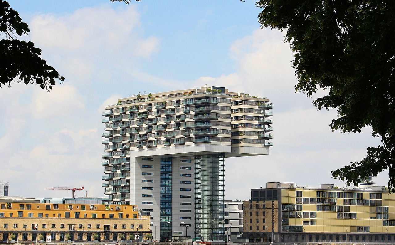 金州区最新楼盘，城市发展与居住品质的新标杆
