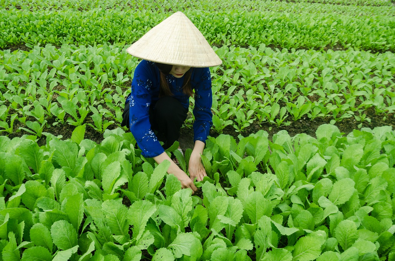 予囚 第12页