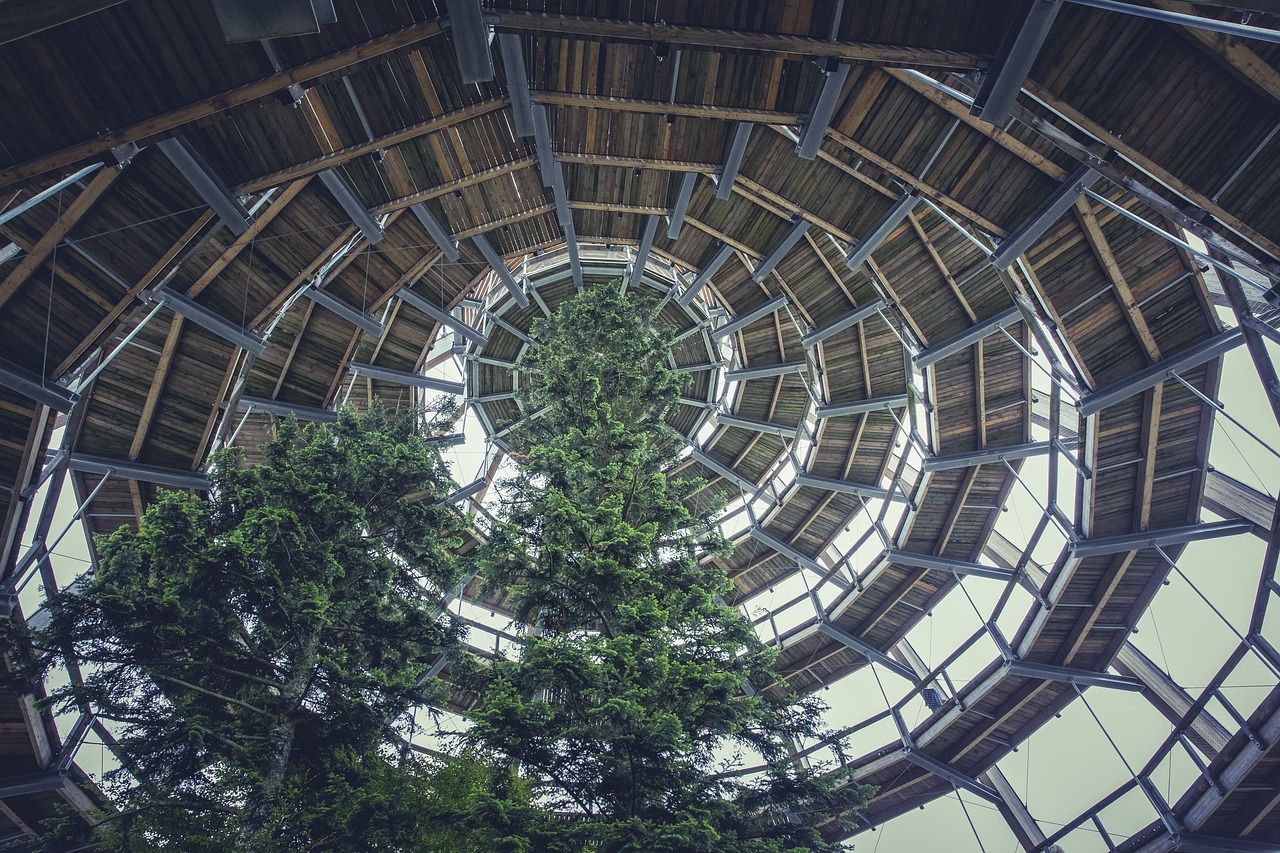榆林合并最新动态，城市发展的融合与创新篇章