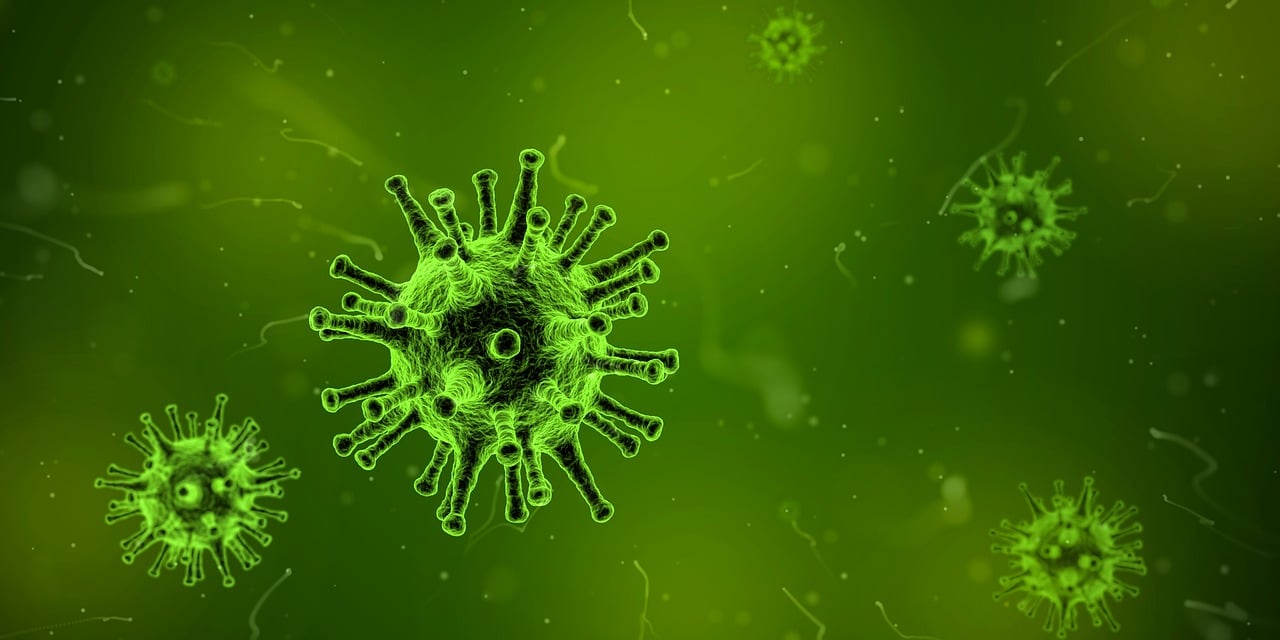 生物学界的最新研究进展概览，探索几个界的最新突破与发现
