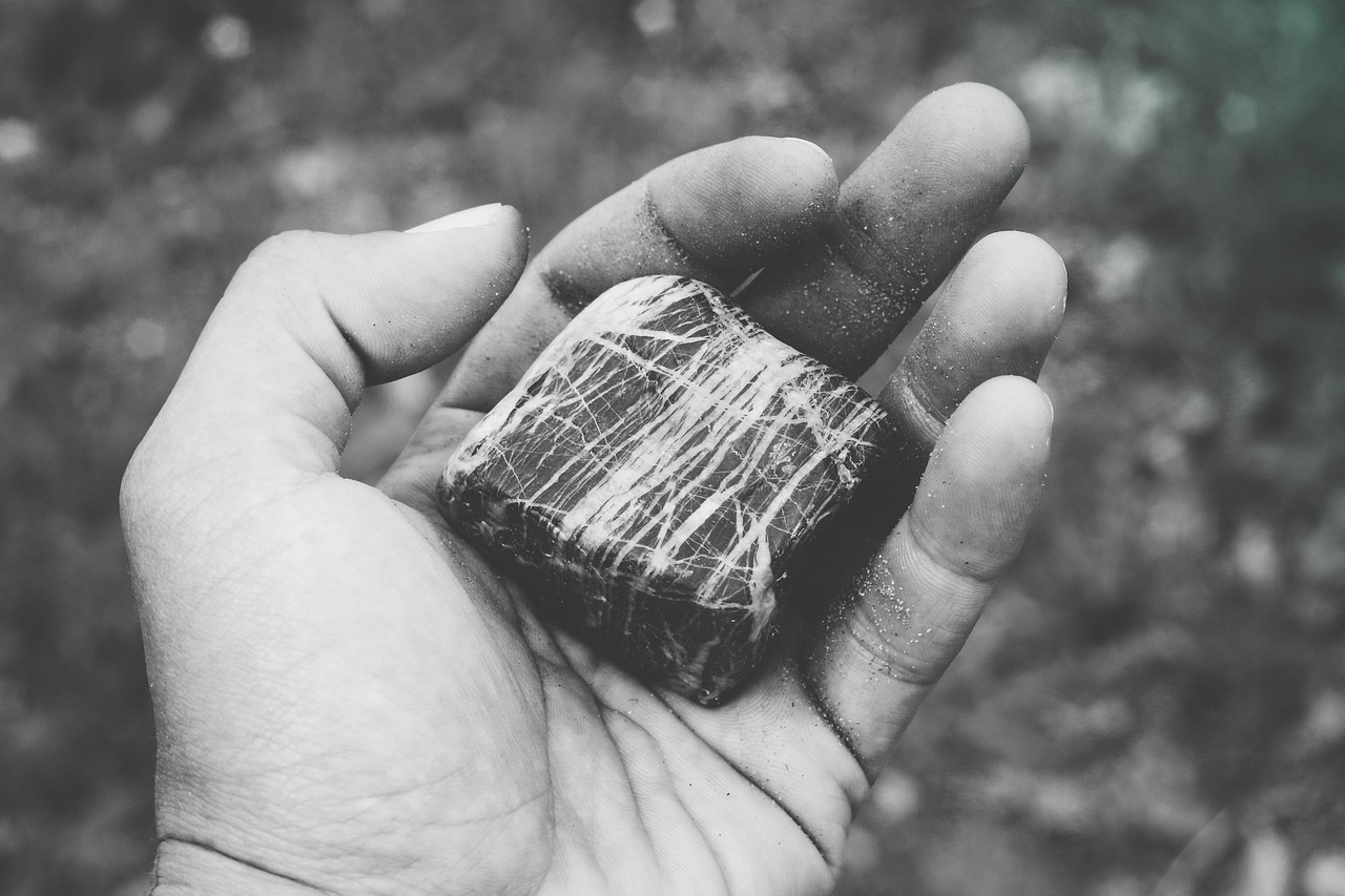 红斑狼疮最新报道，研究突破及未来治疗展望分析