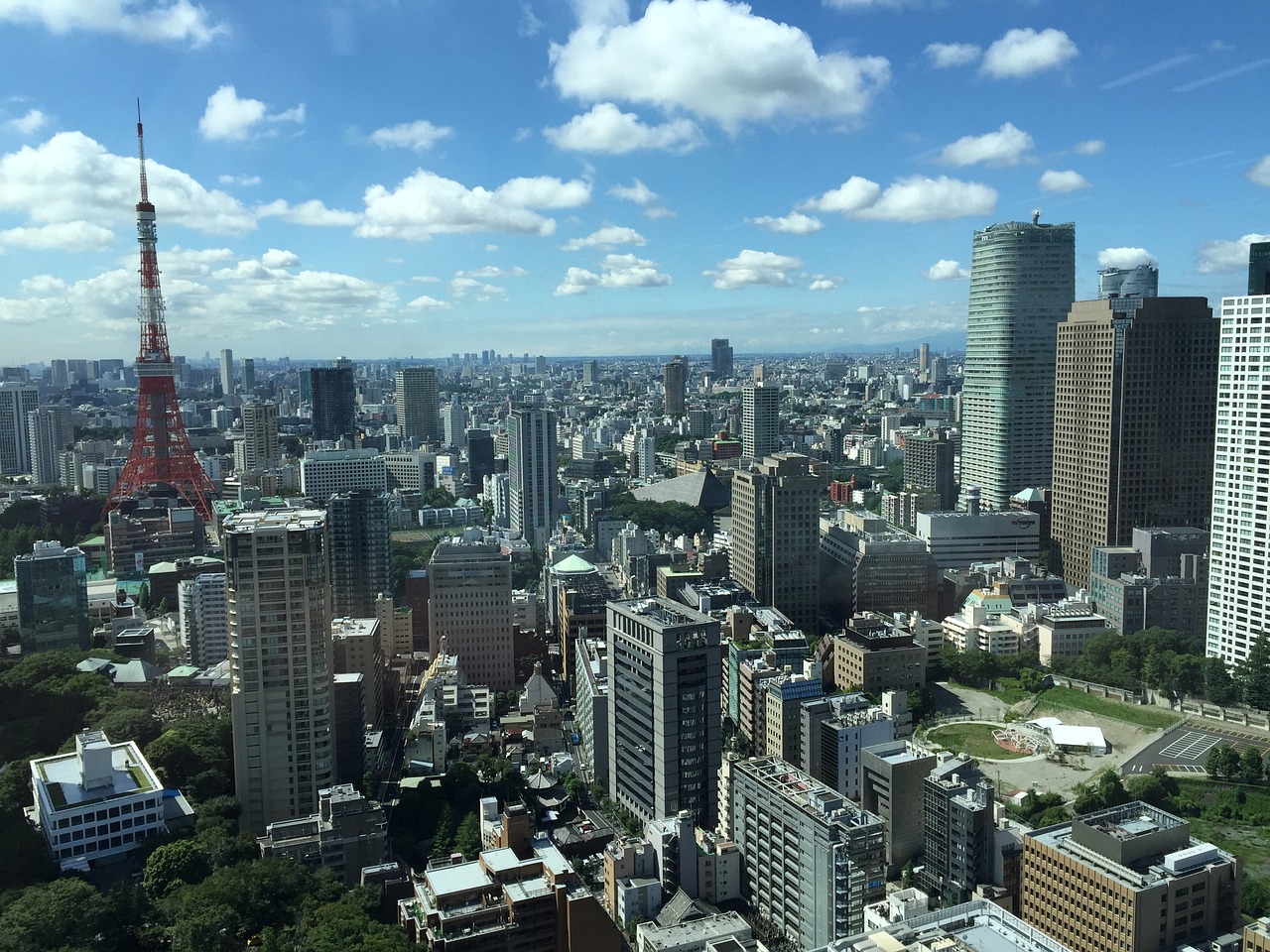 美国最新消息政策分析与解读