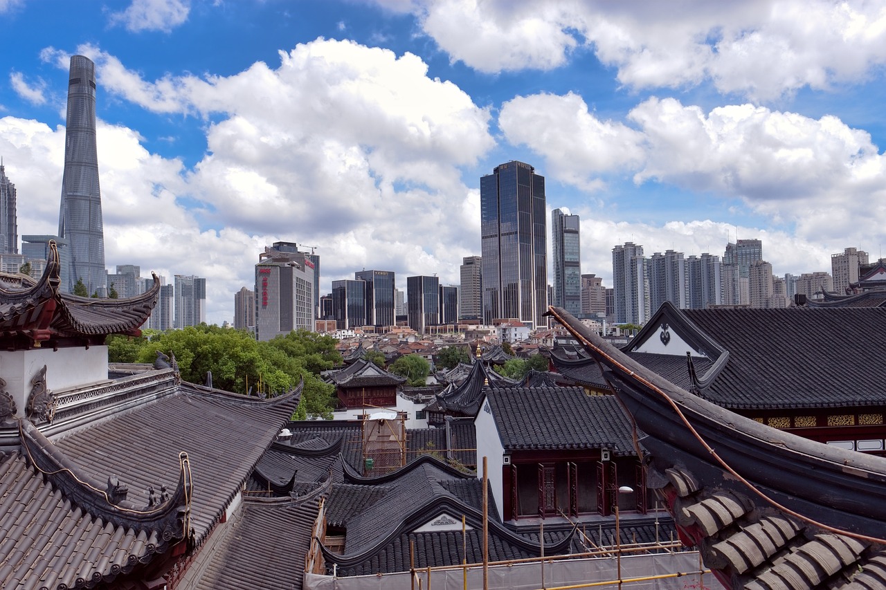 广东最新猪价动态及市场走势与影响因素分析