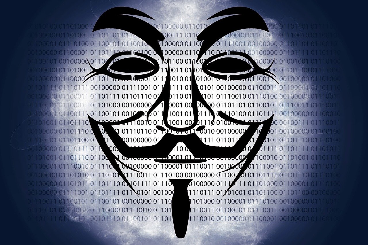 灿哥最新动态揭秘，生活点滴与全新动态更新