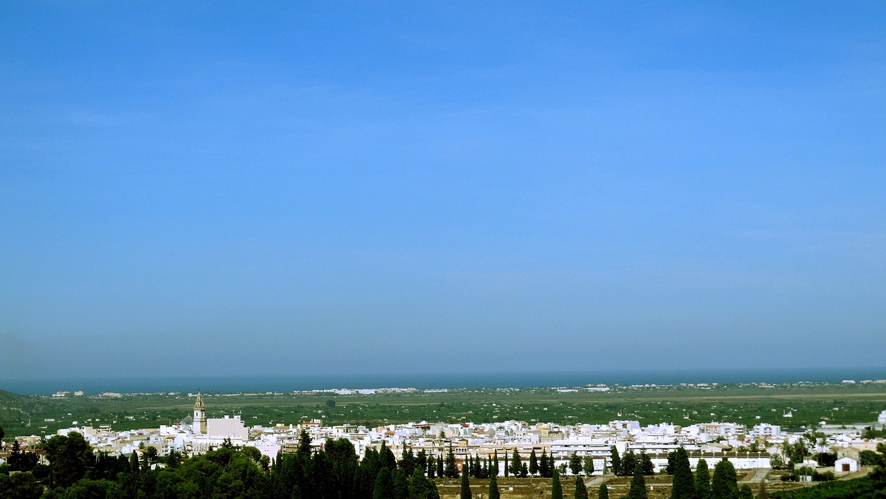 上海疫情最新市场动态深度观察