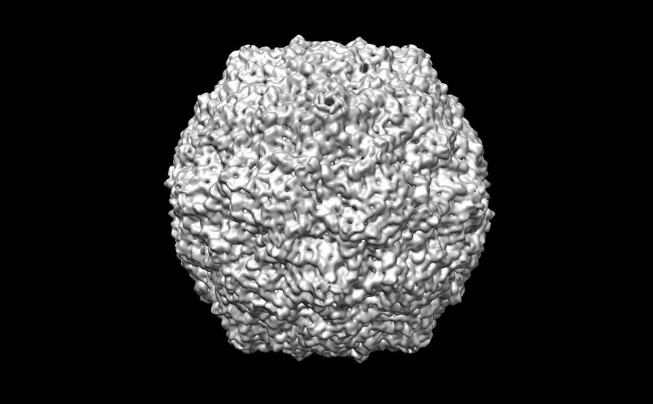 世界新冠病毒治疗最新药物研究与应用进展