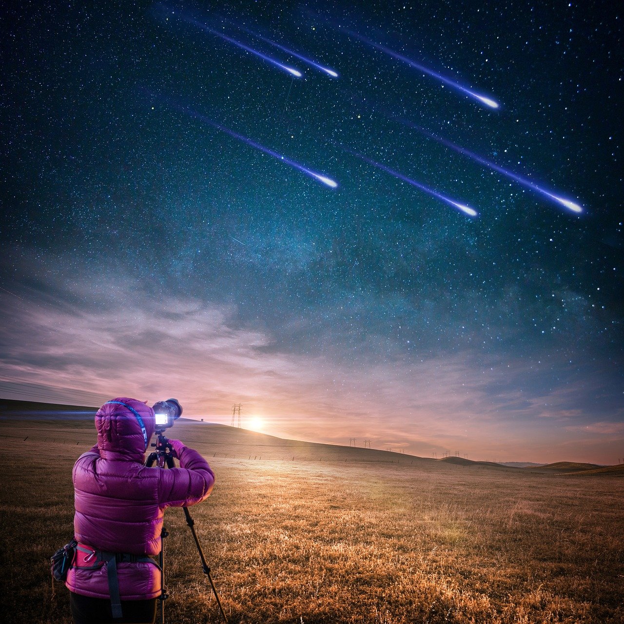 纯情大明星，星光下的纯真绽放最新章节更新速递