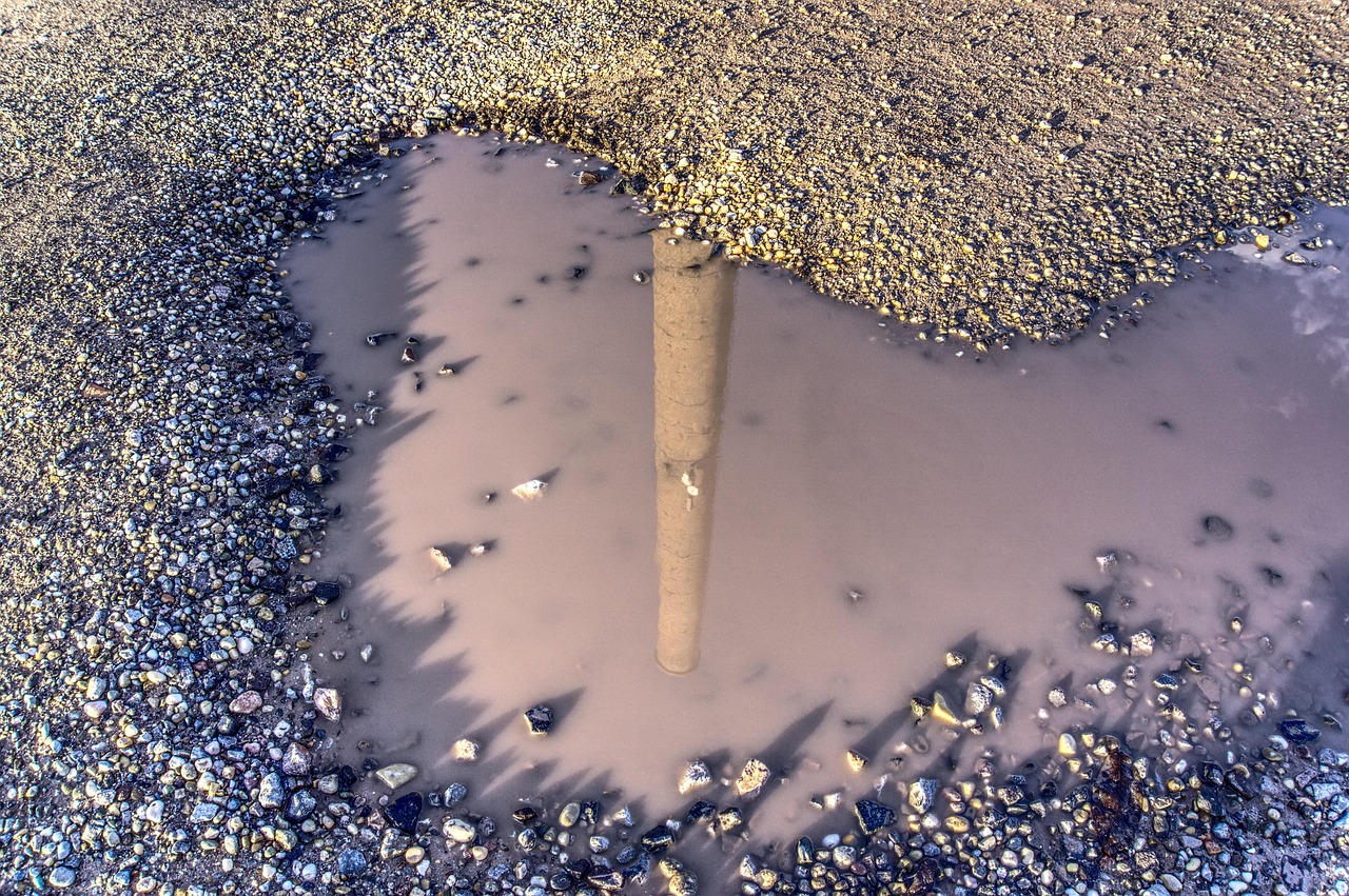 探索最新域名动态，偷偷要最新的域名是什么？