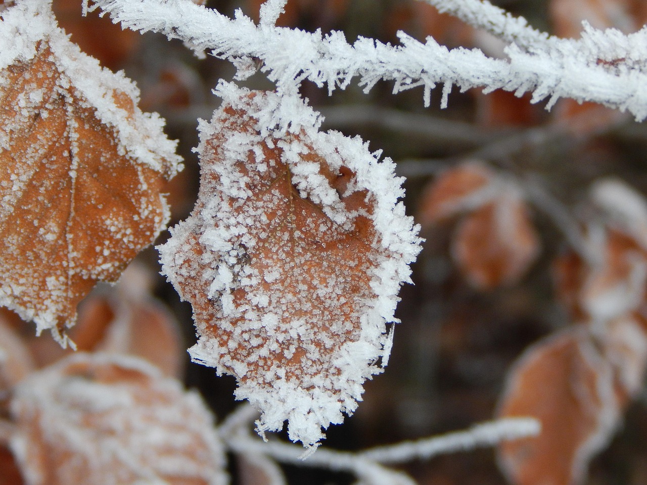 江苏徐州下雪最新消息，冬日惊喜突然降临